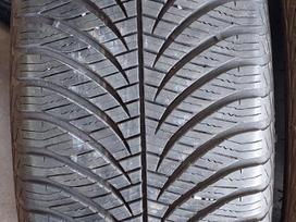 Goodyear, all-season 205/50 R17