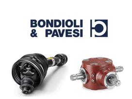 -Kita- Bondioli & Pavesi