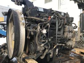 Renault T variklis DTI11 460-EUVI, тягачи
