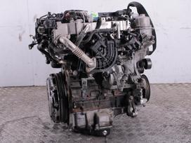 Chevrolet Cruze, Z20D1, Variklis z20d1