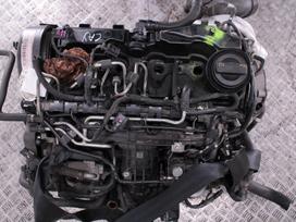 Volkswagen Golf, CAY, Variklis cay