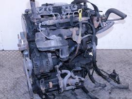 Ford Transit, PGFA, Variklis pgfa