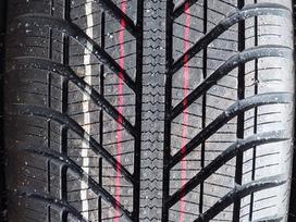 Goodyear, all-season 205/55 R16