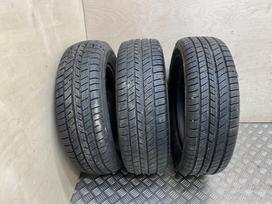 Galaxy MG2, žieminės 195/65 R15