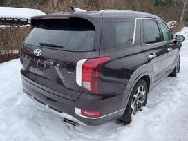 Hyundai Palisade Vse detali ot danava avto
