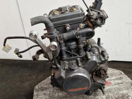 KTM Duke, street / classic