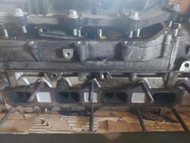 Iveco TurboDaily dzinēja detaļas