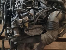Skoda Yeti, CAYC, двигатель