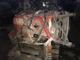 MAN Variklis D0826 LF06, тягачи