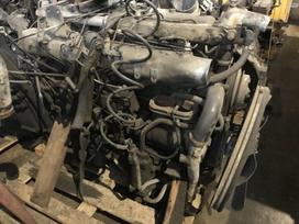 DAF Variklis DHS 825, тягачи
