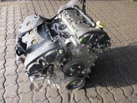 Chevrolet Captiva Variklis 3 2b 10hmc