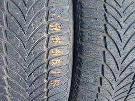 Firestone , Brigestone, Nokian, summer 195/55 R15