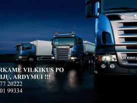 -Kita- Tga, vilkikai