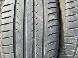 Goodyear Efficient Grip, vasarinės 255/40 R18