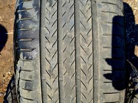 Continental, summer 255/50 R19