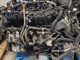Land Rover Evoque, 204dtd, Evoque pilnas variklis 204dtd rida 58 000myliu