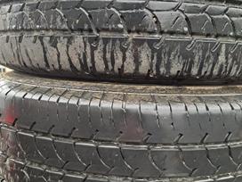Barum Vanis2, summer 205/65 R16