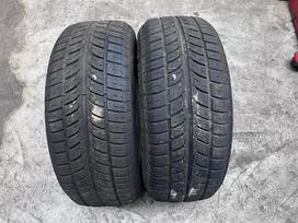 Platin Rp300, summer 205/60 R15