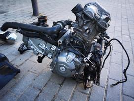 Suzuki DL (V-Strom), touring / sport touring / туристические