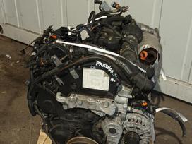 Peugeot Partner, BHY   DV6FD, двигатель
