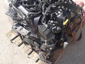 Audi A3 gearbox, injection system, engine
