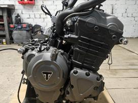 Triumph Tiger, touring / sport touring