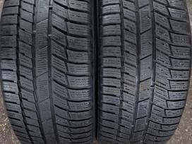 Toyo, universalios 255/50 R19