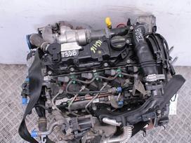 Ford Focus, T3DB, Variklis t3db
