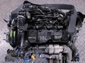 Ford Mondeo, T1BC, Variklis t1bc