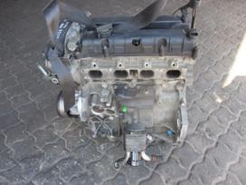 Ford Focus Variklis 1 6b hxda