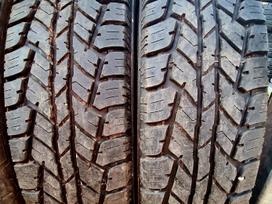 Nankang, vissezonas 205/75 R15