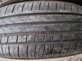 Pirelli Cinturato P 7, summer 205/55 R16