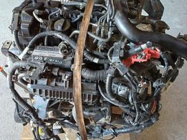 Honda Civic, P10A2, variklio detalės