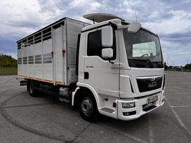 MAN TGL8-180BL, livestock trucks