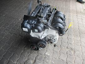 Ford EcoSport Variklis 1 5b ueje