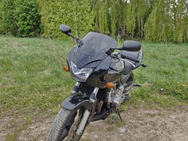 Honda Hornet 600cc, street / classic