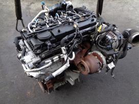 Ford Ranger variklio detalės