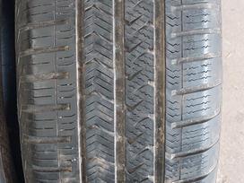 Vredestein, всесезонные 205/55 R17