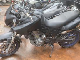 Aprilia Pegaso, touring / sport touring