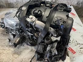 Volkswagen Passat, Variklis AWX