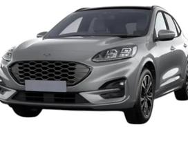 Ford Kuga, Grey Matter