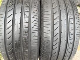 Cooper Zein 4xs-sport, летние 255/60 R18