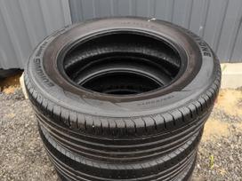 Roadstone Eurovis Sport 04, летние 195/65 R15
