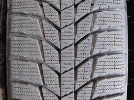 Triangle, ziemas 225/65 R17