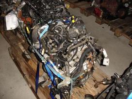Volkswagen Transporter, CXH CXE, engine parts