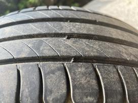 Michelin, летние 205/55 R16