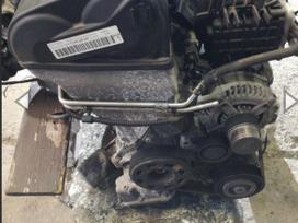 Audi A4, CVN, dalimis