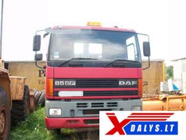 DAF CF65, vilkikai