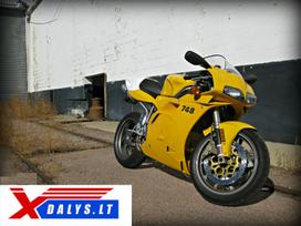 Ducati, superbikes