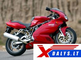 Ducati, sporta / superbikes